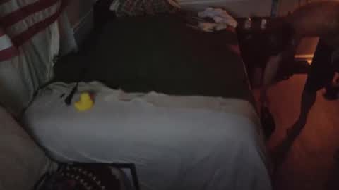 Snapshot of staloney21 chatting on February 2026 09:52:01 AM staloney online show from February 2026 09:52:01 AM