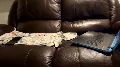 Snapshot of starr3095 chatting on January 2025 06:06:01 AM starr3095 online show from January 2025 06:06:01 AM