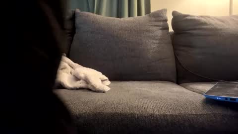 Snapshot of starr3095 chatting on September 2025 01:46:01 PM starr3095 online show from September 2025 01:46:01 PM