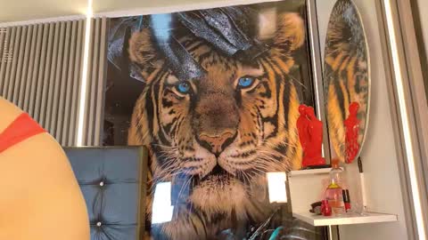 startevans online show from March 2026 04:18:02 AM