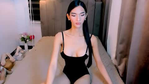 STEF online show from February 2026 03:06:01 AM
