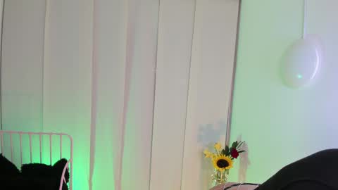 Steffy online show from January 2025 06:58:02 AM