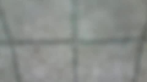 stefhr online show from December 2024 12:11:02 PM