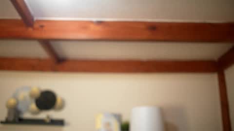 Snapshot of stella_shock chatting on February 2026 09:08:01 AM Stella online show from February 2026 09:08:01 AM