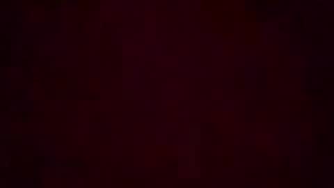 Stella Bella online show from August 2026 04:14:01 AM