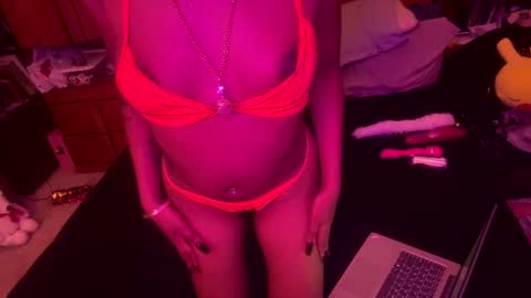 stellakobra online show from November 2025 04:12:01 AM