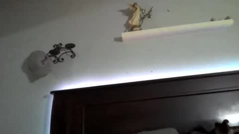 Snapshot of stellateamo69 chatting on May 2026 04:10:01 AM Stellateamo69 online show from May 2026 04:10:01 AM