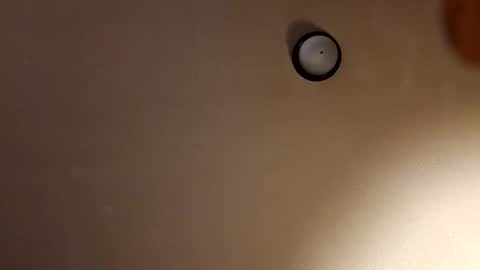 Snapshot of stephanie9034 chatting on December 2024 08:20:01 AM stephanie9034 online show from December 2024 08:20:01 AM