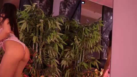 Steph online show from January 2026 08:08:01 AM