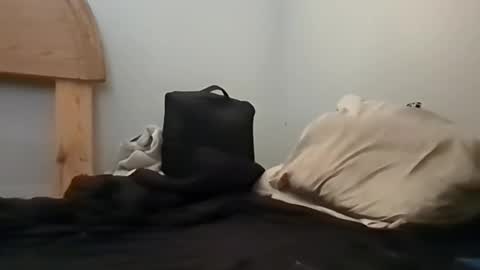 sterng123 online show from October 2025 06:19:02 PM