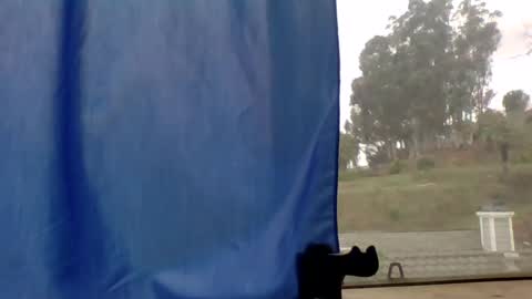 Snapshot of steviehard7 chatting on March 2025 04:51:02 PM steviehard7 online show from March 2025 04:51:02 PM