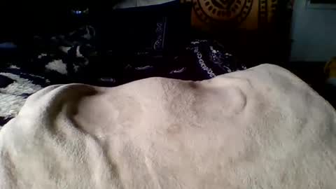 Snapshot of steviehard7 chatting on March 2025 04:02:01 PM steviehard7 online show from March 2025 04:02:01 PM