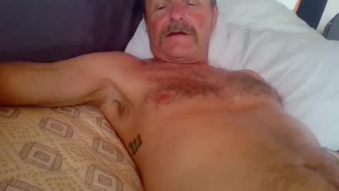 Snapshot of steviehard7 chatting on October 2025 10:50:02 PM steviehard7 online show from October 2025 10:50:02 PM