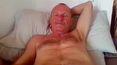 Snapshot of steviehard7 chatting on October 2025 10:21:02 PM steviehard7 online show from October 2025 10:21:02 PM