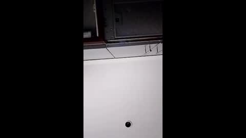 stewndumplins online show from April 2026 09:21:02 PM