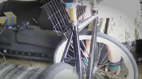 Snapshot of stillcantsl66p chatting on October 2025 06:05:02 PM stillcantsl66p online show from October 2025 06:05:02 PM