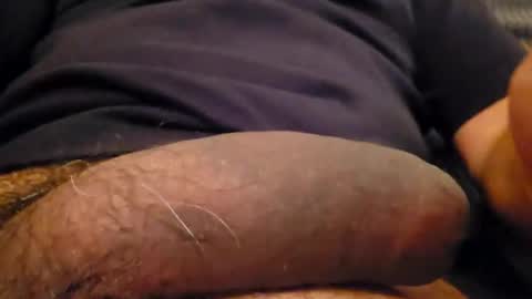 stinkboms online show from April 2026 01:18:01 PM