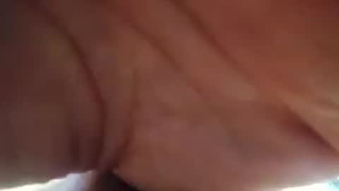 stinkboms online show from July 2026 10:39:01 AM