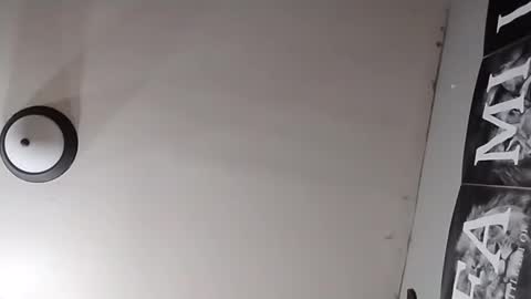 Oval2022 online show from March 2026 12:11:01 PM