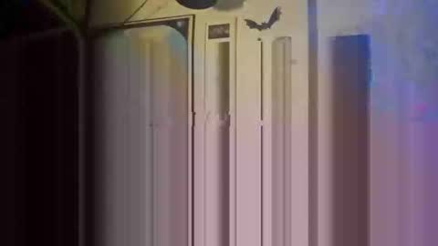 Str8 online show from May 2026 01:23:02 AM