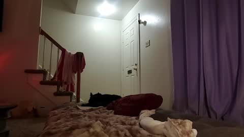 Strawberrylotsacake online show from September 2025 05:31:01 AM