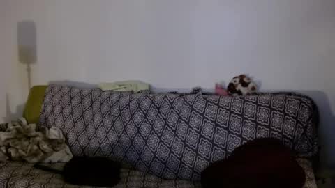 Snapshot of strawberrylotsacake chatting on April 2026 11:22:02 AM Strawberrylotsacake online show from April 2026 11:22:02 AM