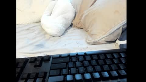 strawboy300 online show from January 2025 08:45:01 PM