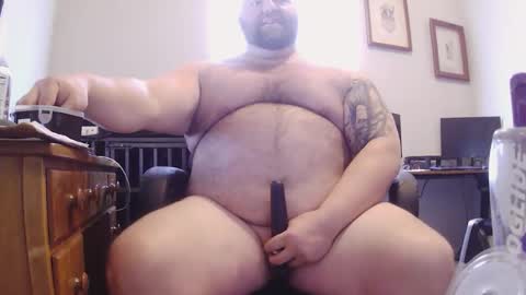 strong_bear89 online show from February 2026 06:34:02 PM