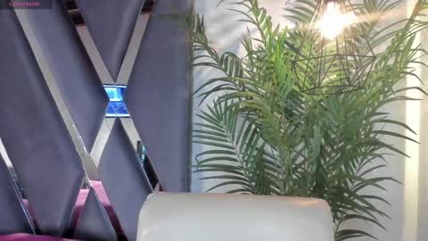 Alexa   online show from March 2025 11:08:02 AM