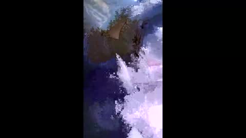 Snapshot of stuffamuffagus69 chatting on May 2026 09:33:02 PM stuffamuffagus69 online show from May 2026 09:33:02 PM