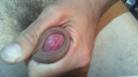 subnoass online show from June 2026 10:50:02 AM