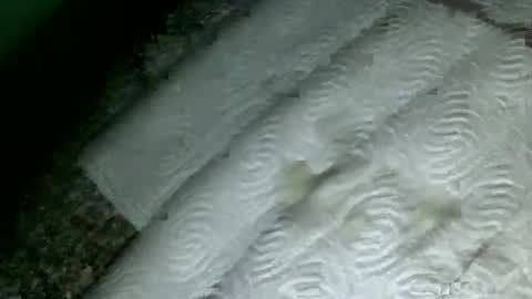 Martin sweetboy online show from February 2025 09:53:02 PM