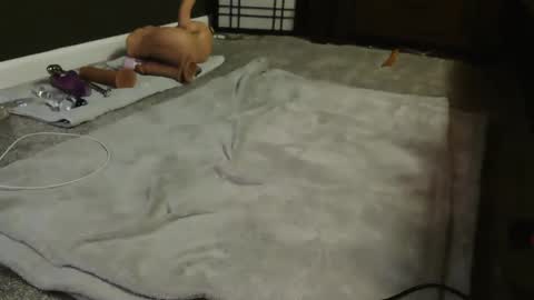 Suga cookie online show from December 2024 04:56:01 AM