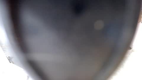 Snapshot of sugarplumy chatting on July 2026 03:44:01 AM KUROME online show from July 2026 03:44:01 AM