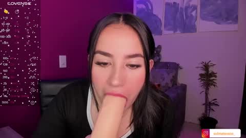 Snapshot of sulmatevans_ chatting on December 2024 08:33:01 AM Diana online show from December 2024 08:33:01 AM