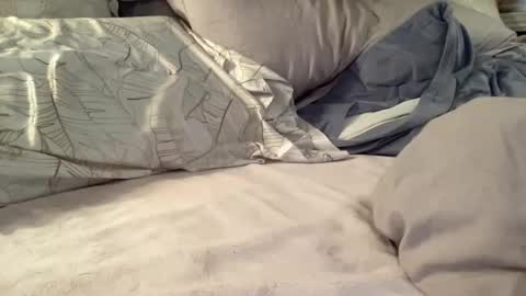 Summer online show from November 2025 06:31:02 PM