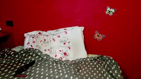 sunbel online show from March 2025 12:55:02 AM