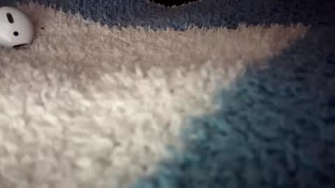 Sofie online show from September 2025 04:56:02 AM