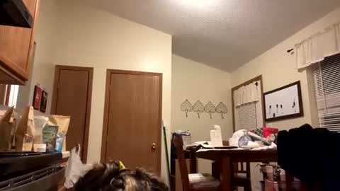 sunnbabe92485 online show from September 2025 02:44:01 AM