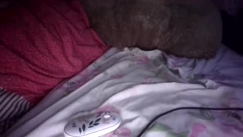 sunnkissed slick online show from September 2025 07:41:01 AM