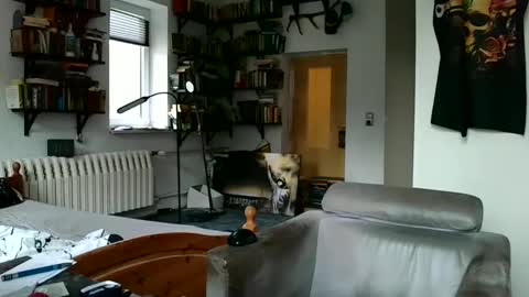 sunr1sa online show from December 2024 07:49:02 AM