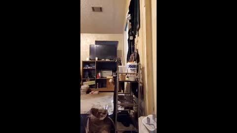 surfsup850 online show from December 2025 03:01:02 AM