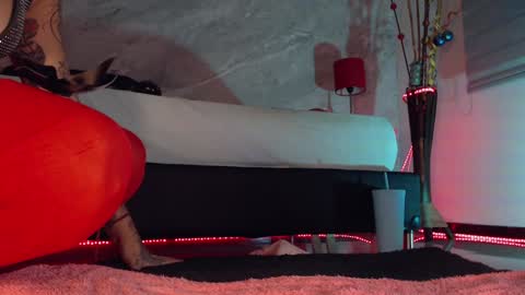    online show from December 2024 10:54:02 PM