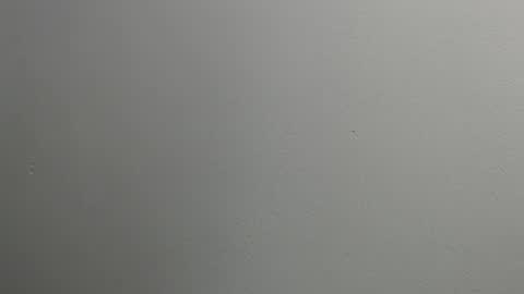 Snapshot of sussy_leon chatting on January 2025 12:11:02 PM sussy leon online show from January 2025 12:11:02 PM