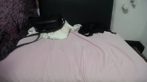 susy_perverttt online show from July 2026 03:29:02 PM