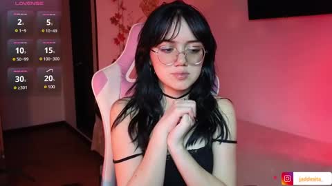 Jadde  online show from December 2024 08:16:01 AM