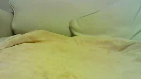 Snapshot of sven_eber chatting on January 2026 07:04:01 PM Peter online show from January 2026 07:04:01 PM