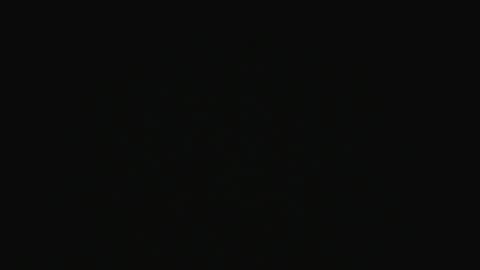 Swakken online show from December 2024 07:43:02 PM