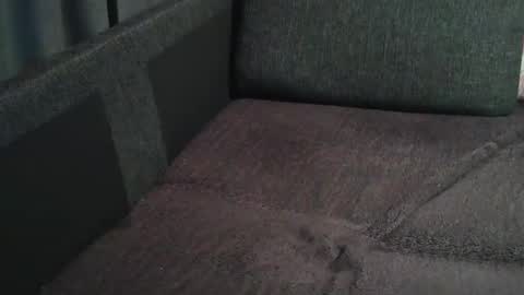 Snapshot of swartarn chatting on December 2024 06:30:02 AM ArnSwart online show from December 2024 06:30:02 AM