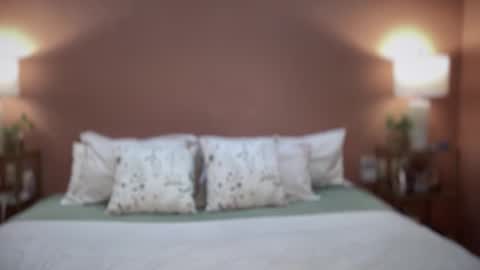 Swedish Candii online show from February 2026 12:31:01 AM